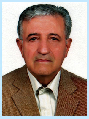 بهمن ارزانی